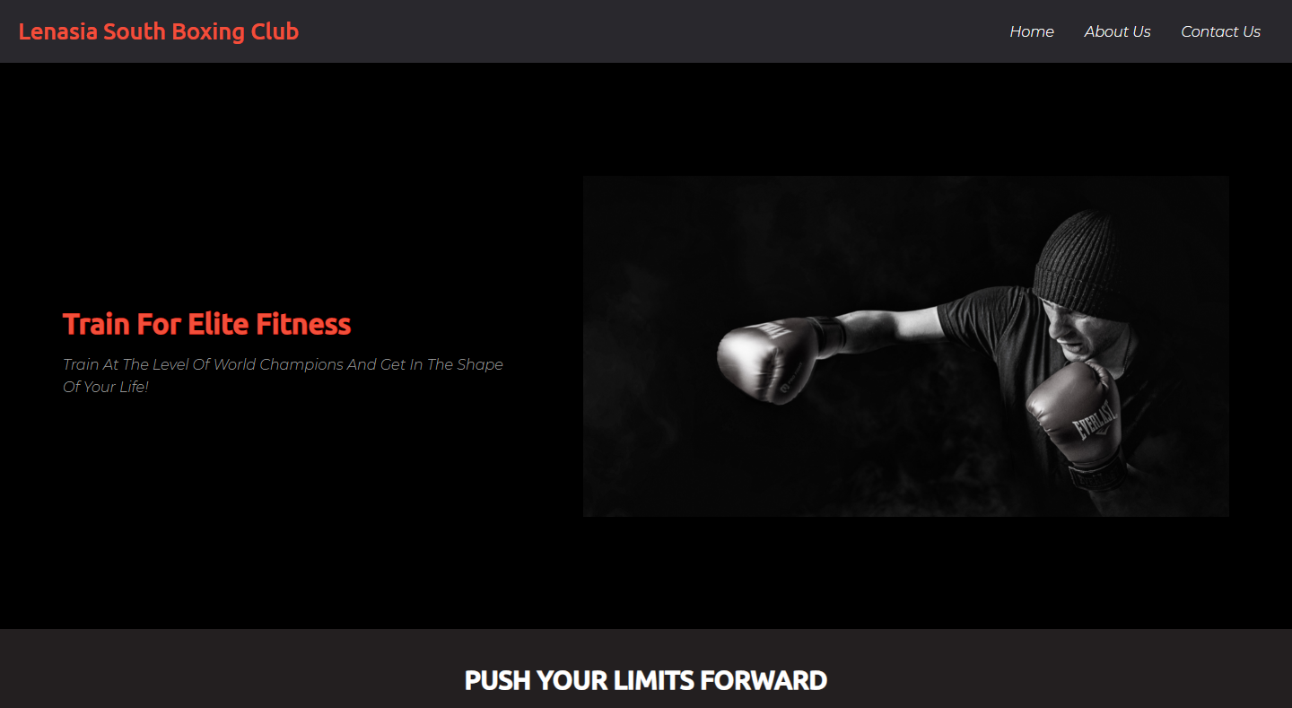 Lenasia South Boxing Club Image